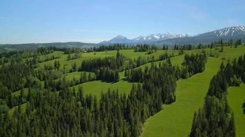antenn se av fantastisk landskap av tatra bergen i sommar, polen. video