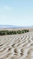 paysage désertique dans le parc national du cratère video