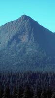 increíbles vistas a las montañas en el norte de canadá en verano video