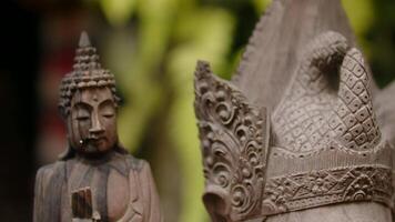 Hindoe religie en haar parafernalia, hout gesneden standbeelden van goden video