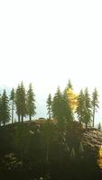 coucher de soleil dans les montagnes avec forêt et soleil brillant video
