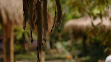 Dreamcatcher feathers flutter in the wind among the jungle and greenery. video