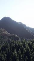 panoramic aerial view of rocky ridge among green forest at sunset video