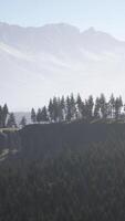 nebbioso paesaggio di montagna nebbioso con foresta di abeti video