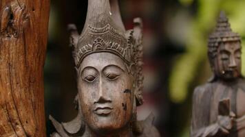 hout gesneden beeldjes van Hindoe goden tegen een achtergrond van gebladerte video
