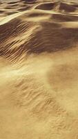 sanddyner vid solnedgången i saharaöknen i Libyen video