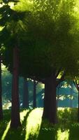 paisaje de bosque verde de dibujos animados con árboles y flores video