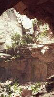 large fairy rocky cave with green plants video