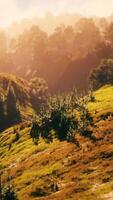 zonsondergang in de bergen met groen gras en bomen video