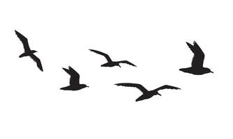 Hand drawn flying seagull birds flock silhouette vector