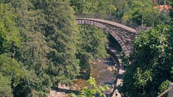 ponte spanning fiume in mezzo alberi video