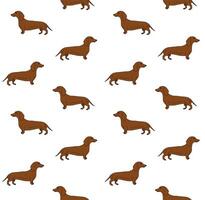 Seamless pattern of hand drawn dachshund vector