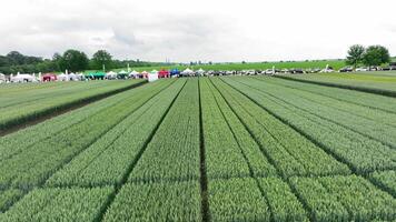 Agricultural Field Day with Tent Displays, Wide-angle view of a green agricultural field with neatly arranged rows. video