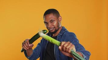 Pleased young adult pretending to start a fight with a cucumber and a leek, acting silly having fun in studio. Vegan guy playing around with natural eco friendly green vegetables. Camera A. video