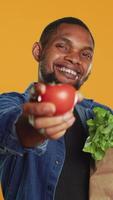Vertikale jung vegan Kerl präsentieren ein reif frisch geerntet Tomate auf Kamera, unterstützen lokal Landwirtschaft und nachhaltig Lebensstil. männlich Modell- Kauf einheimisch Öko freundlich Früchte und Gemüse. Kamera a. video