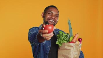 ung vegan kille presenter en mogen nyligen UPPTAGITS tomat på kamera, stödjande lokal- jordbruk och hållbar livsstil. manlig modell uppköp hemodlade eco vänlig frukt och grönsaker. kamera a. video