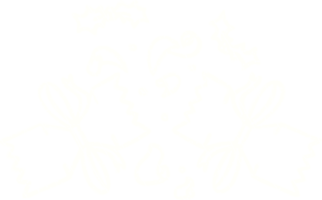 disegno di gesso del cracker di natale png