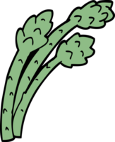 cartoon doodle asparagus plant png