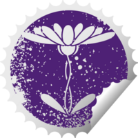 distressed circular peeling sticker symbol of a flower png