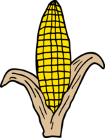 cartoon doodle corn on cob png