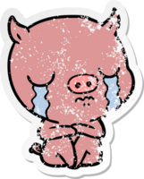 distressed sticker of a cartoon sitting pig crying png