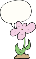 Cartoon-Blume mit Sprechblase png