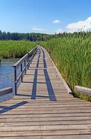 Boardwalk and Shadows in Summer Light photo