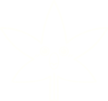 Cannabis Leaf Chalk Drawing png