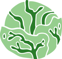 cartoon doodle cabbage png