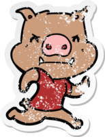 distressed sticker of a angry cartoon pig running png