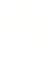 disegno a gesso di vespa png