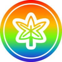 marihuana blad circulaire icoon met regenboog helling af hebben png