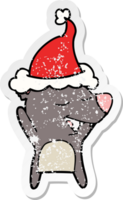 hand drawn distressed sticker cartoon of a bear wearing santa hat png