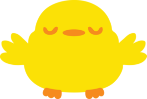 cute cartoon baby bird png