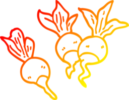 warm gradient line drawing cartoon beetroot plants png