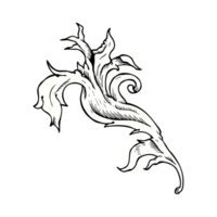 traditional hand drawn floral swirl png