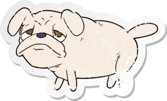 distressed sticker of a cartoon unhappy pug dog png