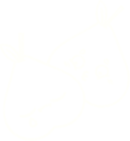 Pears Chalk Drawing png