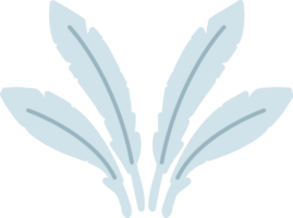 a set of feathers png