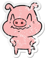 distressed sticker of a nervous cartoon pig png