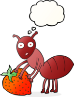 thought bubble cartoon ant with berry png