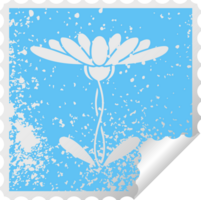 distressed square peeling sticker symbol flower png
