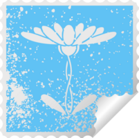 beunruhigte quadratische Peeling-Aufkleber-Symbolblume png