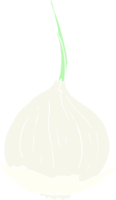 flat color illustration of onion png