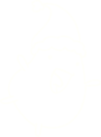 desenho de giz de broto de natal png