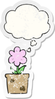 cute cartoon flower with thought bubble as a distressed worn sticker png