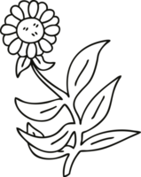 line drawing quirky cartoon daisy flower png