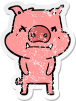 autocollant en détresse d'un cochon de dessin animé en colère png