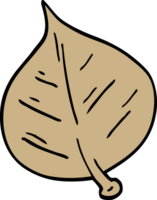 cartoon doodle leaf png