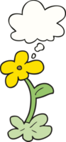 cartoon flower and thought bubble png